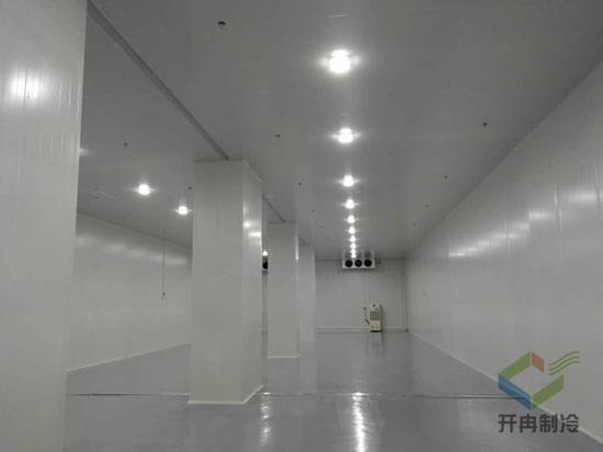 建設(shè)醫(yī)藥包裝自動(dòng)化冷庫安裝，自動(dòng)化冷藏庫有哪些優(yōu)點(diǎn)？