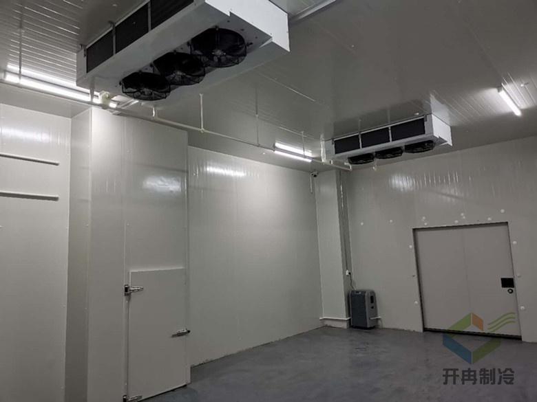 建設(shè)醫(yī)藥包裝自動(dòng)化冷庫安裝，自動(dòng)化冷藏庫有哪些優(yōu)點(diǎn)？