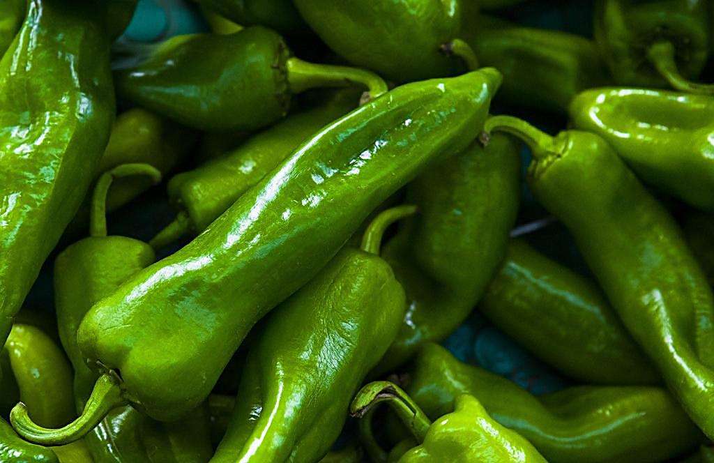 果蔬辣椒保鮮冷庫安裝，上海青椒保鮮冷庫造價