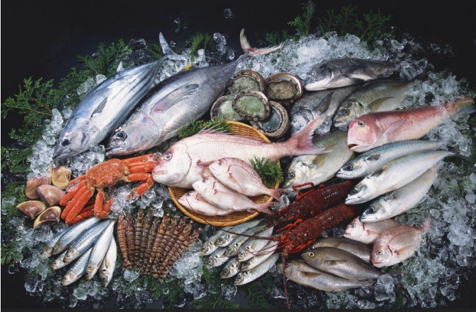 零下低溫凍魚冷庫工程設(shè)計(jì)，凍魚冷庫安裝管理