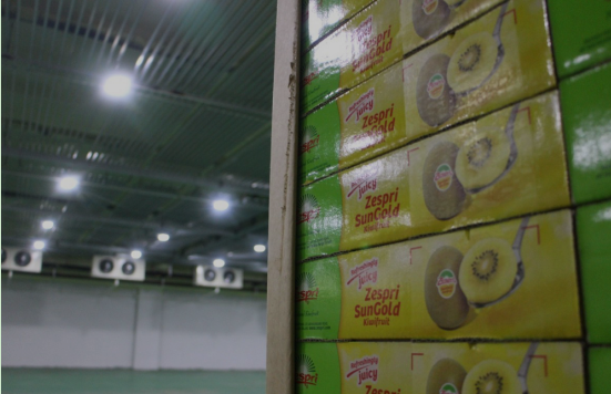 瓜果氣調(diào)保鮮庫，保鮮庫安裝造價(jià)