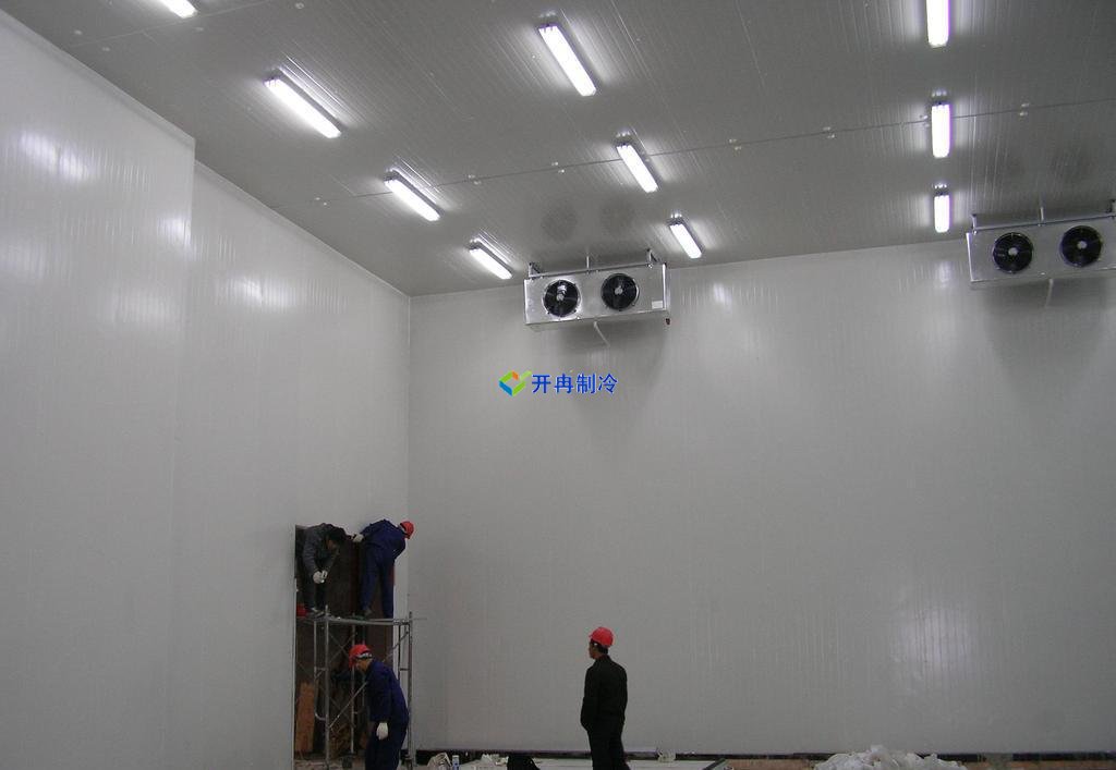 5000噸大蒜需建多大冷庫，冷庫造價多少錢