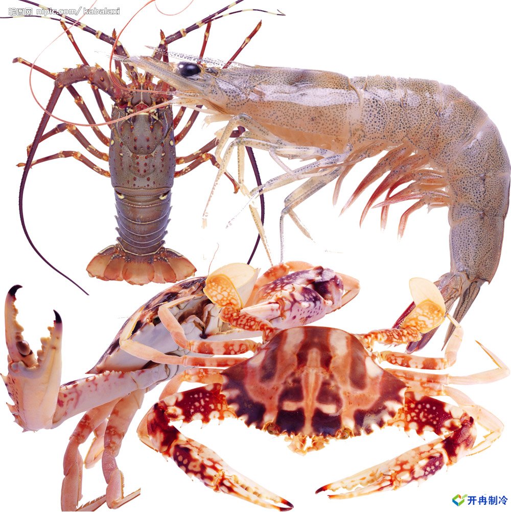 500平米海鮮冷庫建造,-25℃冷凍庫造價多少錢