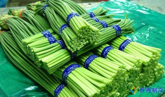 3000噸蒜薹冷庫前期規劃，冷庫造價預算多少錢